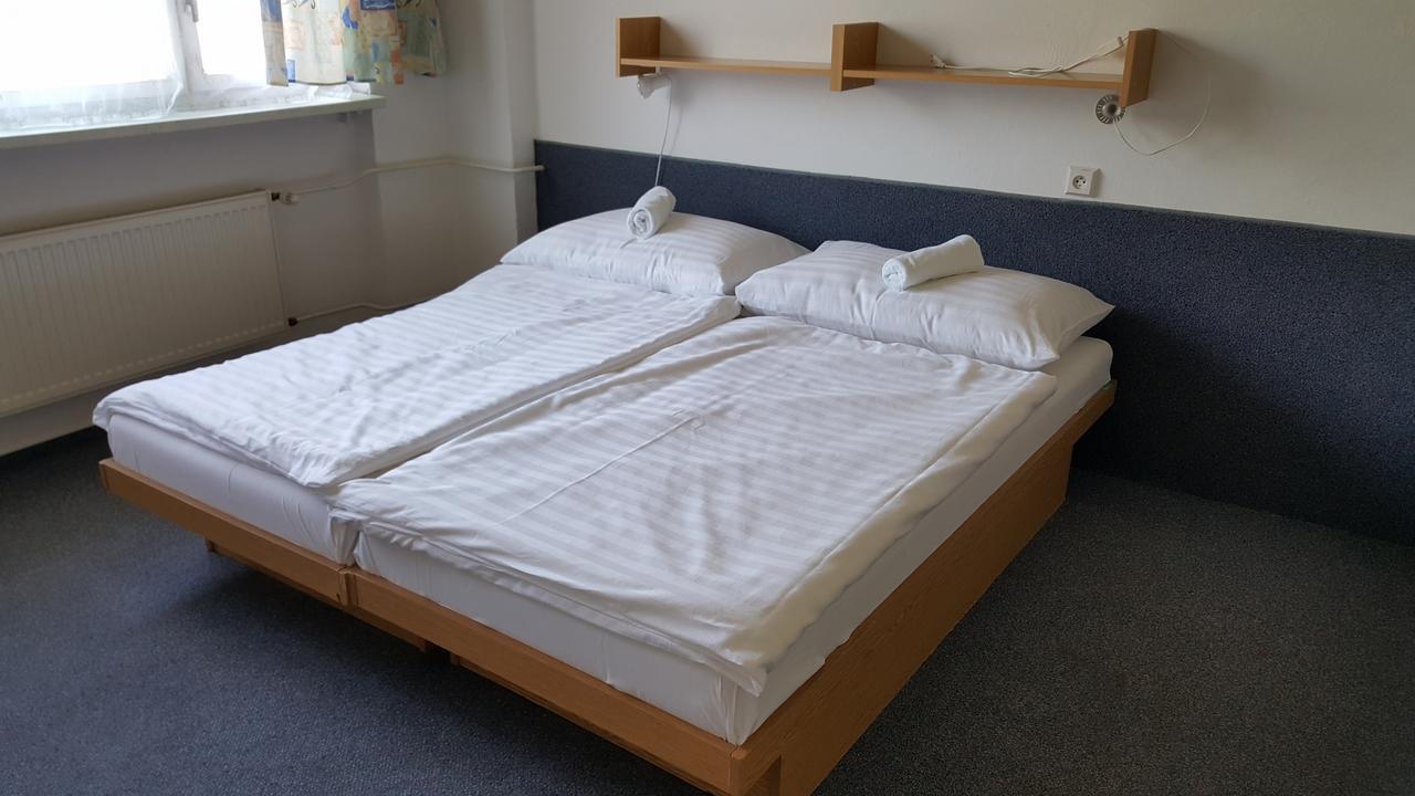 Hotel Banik Nitrianske Rudno Δωμάτιο φωτογραφία