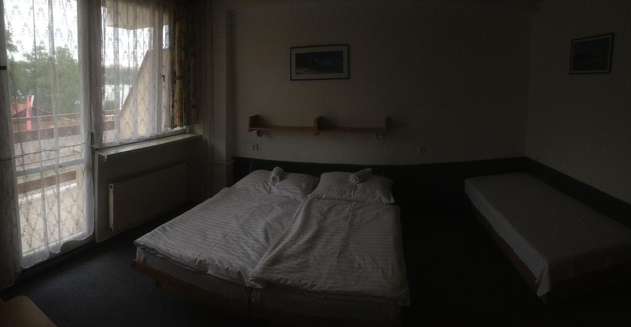 Hotel Banik Nitrianske Rudno Δωμάτιο φωτογραφία